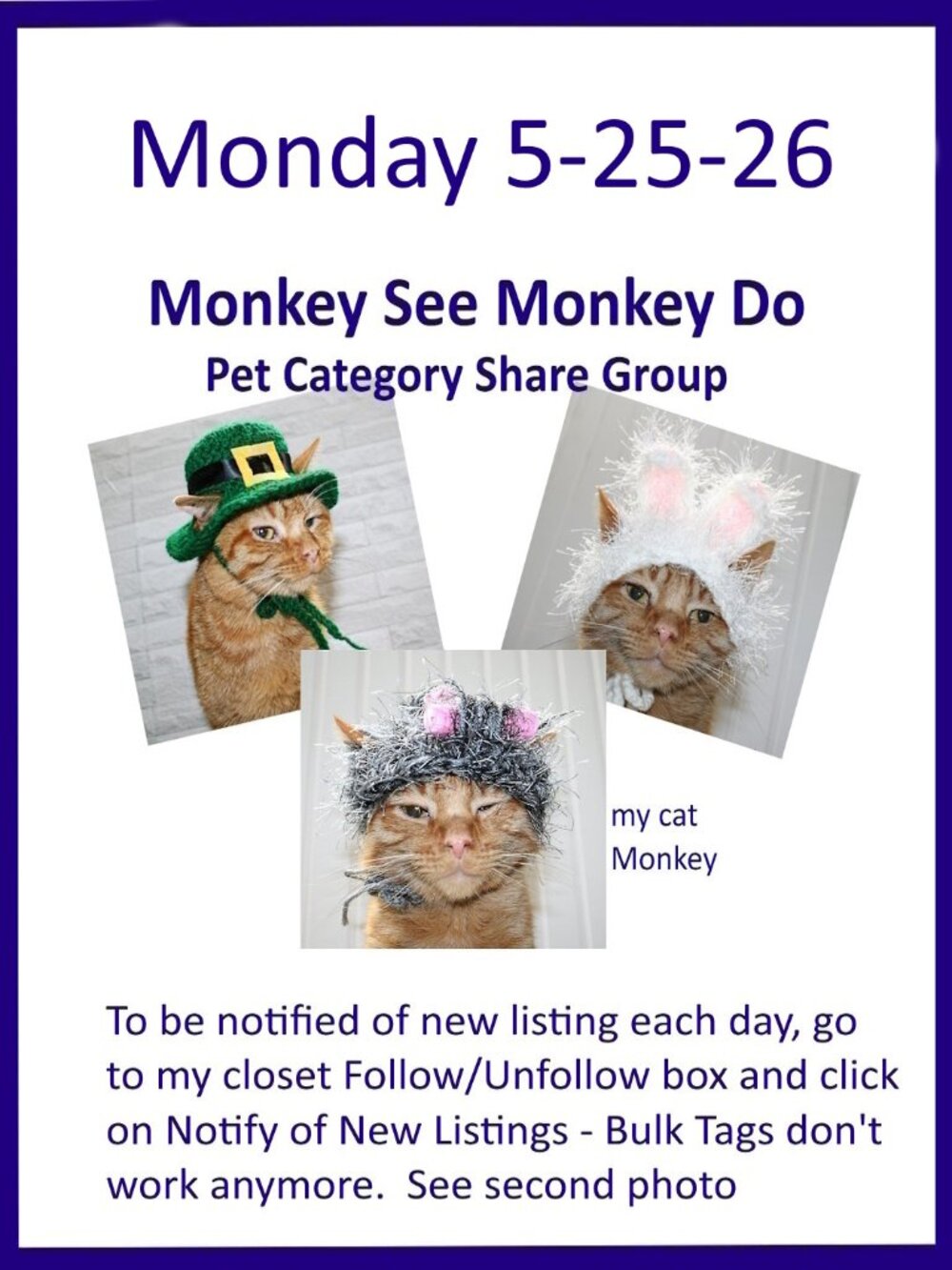 Monday 5-25-26 Dog Cat Small Animal Pet Share Discussion Group